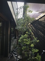1535620171750