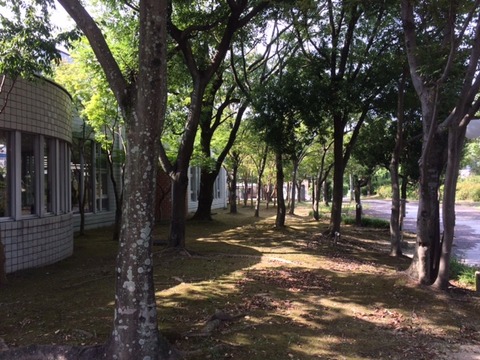 image1 (2)