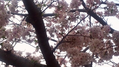 2019-04-09 10.50.50
