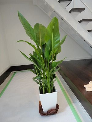 DSC02914