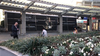 IMG_8982