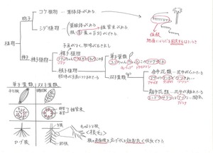 20151019151116_00001