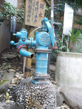 caf47e84.jpg