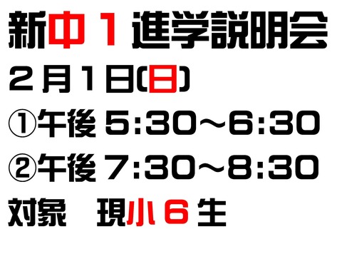 Microsoft Word - 文書 13
