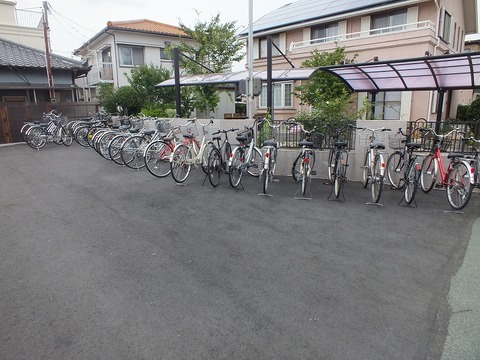 DSCF6303