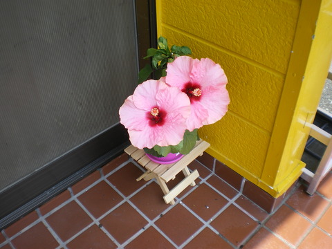 IMGP0072