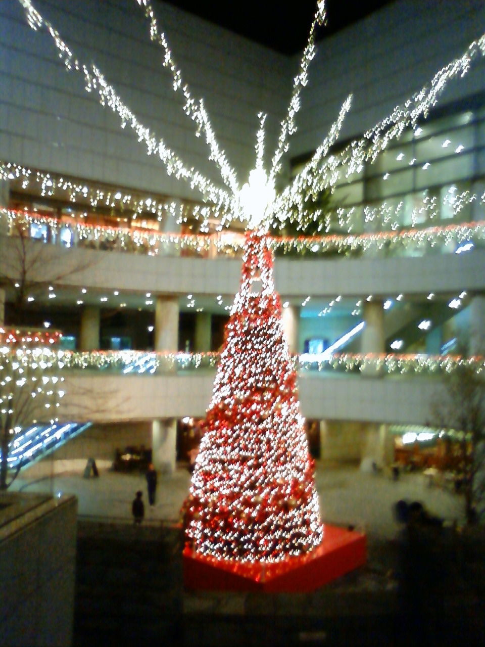 201011281855000