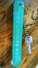 日食