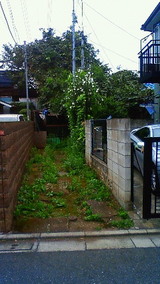 宮前