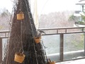 IMG_1903