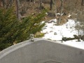 IMG_1897