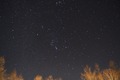 IMG_8000