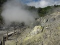 IMG_2719 (1)