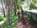 IMG_2886
