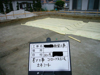 BlogPaint