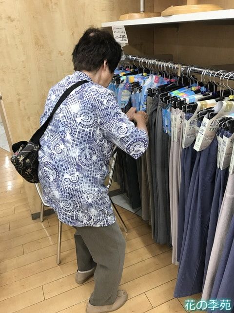 写真1