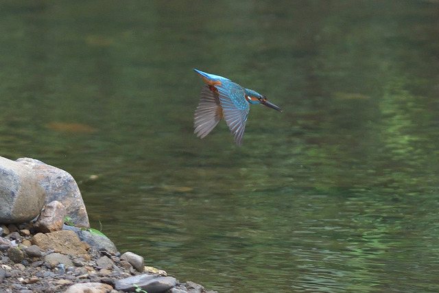 DSC_5767_00002
