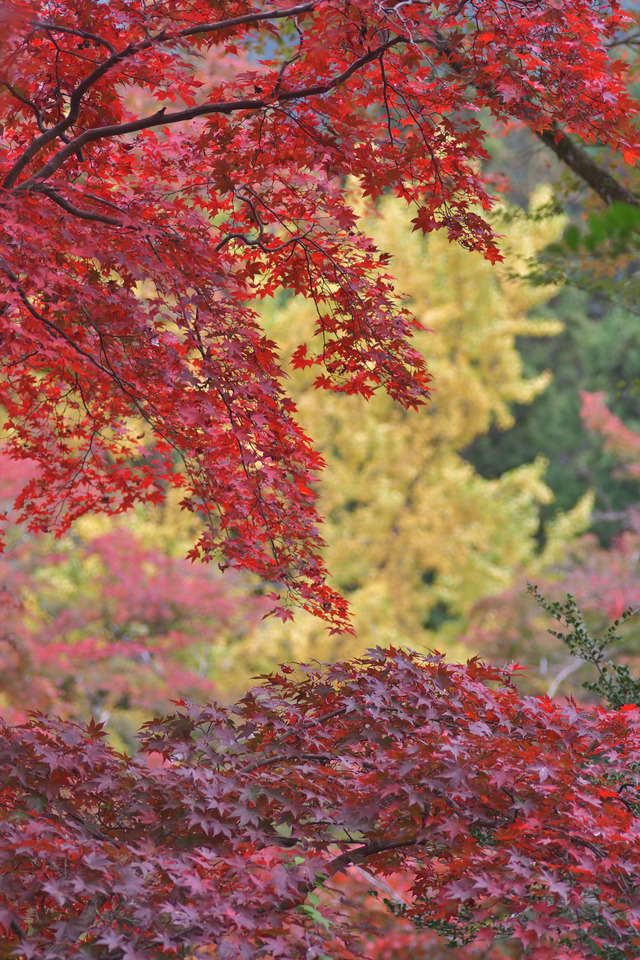 DSC_3269_3525