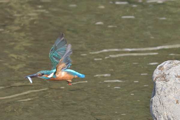 DSC_4150_00001