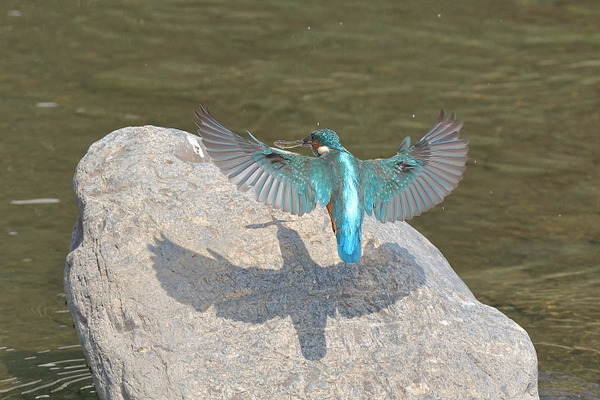 DSC_4097_00001
