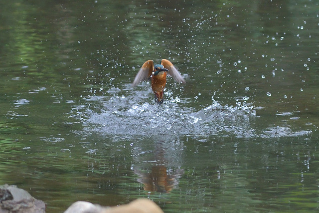 DSC_5771_00005