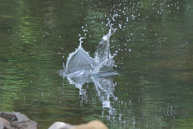 DSC_5769_00003
