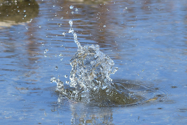 DSC_2978_00003
