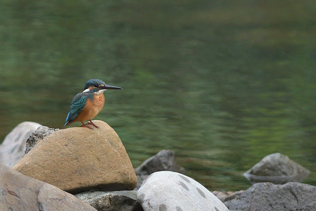 DSC_5576_00003