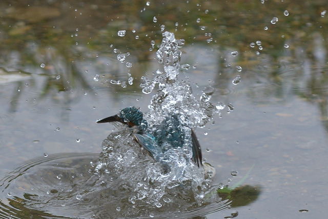 DSC_5847_00003