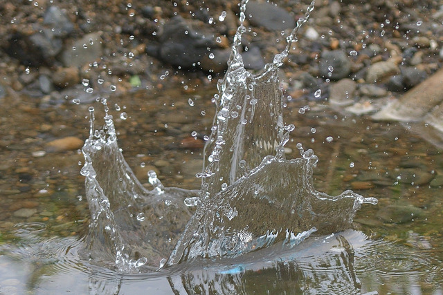 DSC_5898_00002