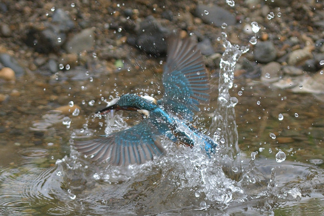 DSC_5899_00003