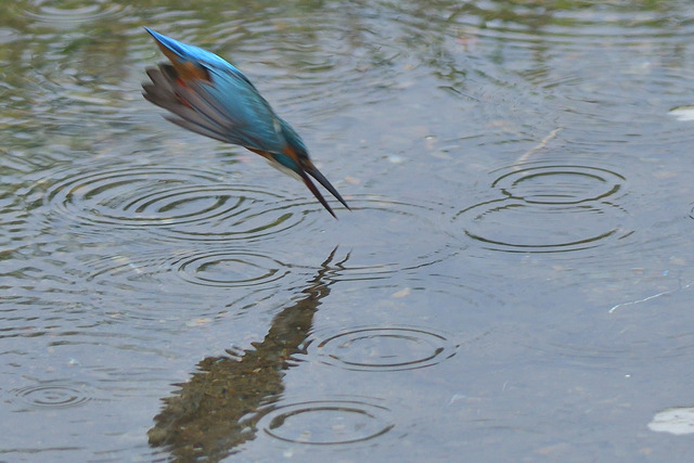 DSC_6058_00002