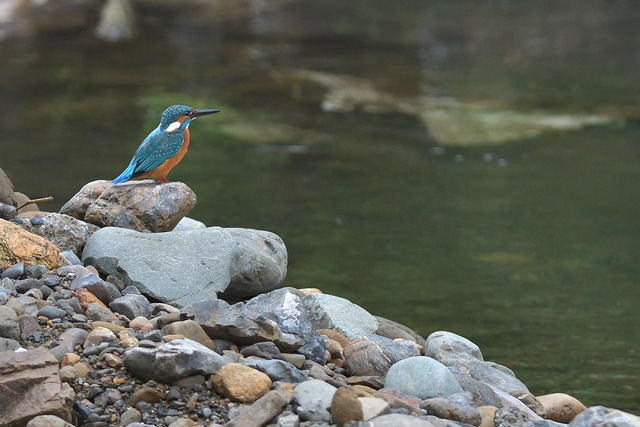 DSC_5759_00001