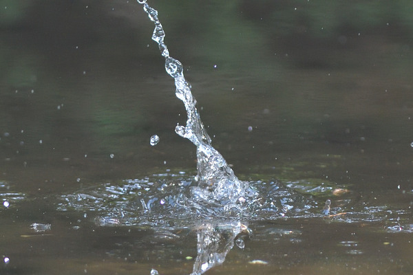 DSC_3999_2362