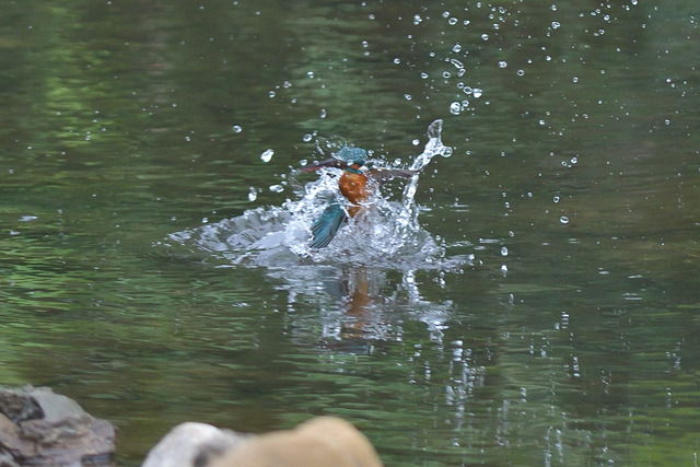 DSC_5770_00004