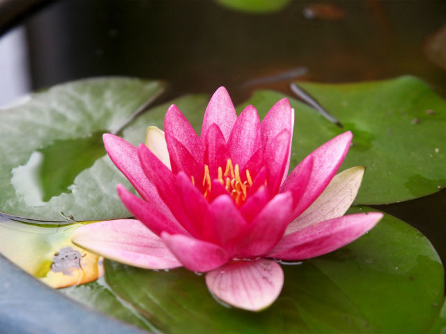 P6183351