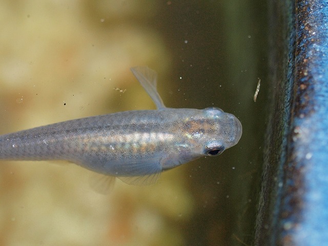 P4033813