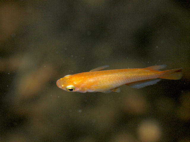 P4244677 (1)