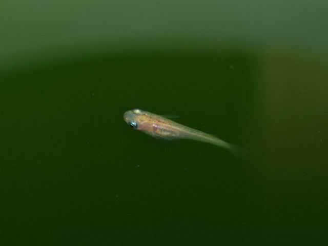 P9286155