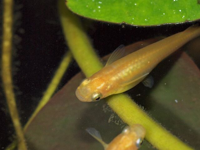 P6025756