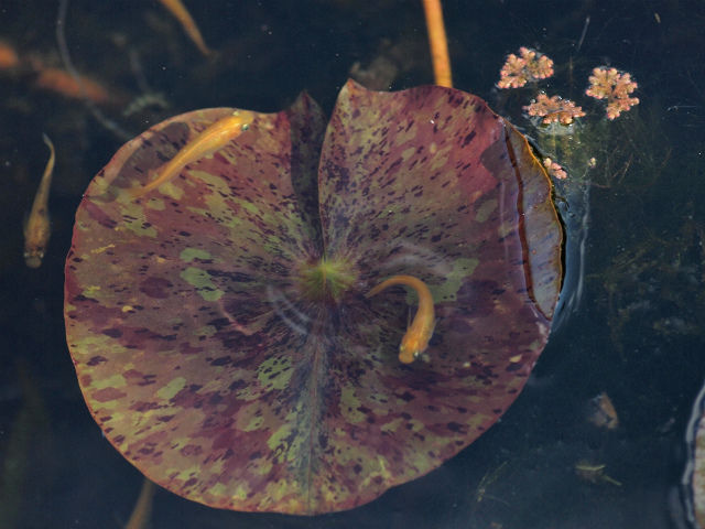 P3124214