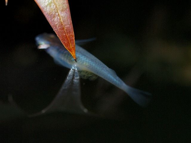 P3270281