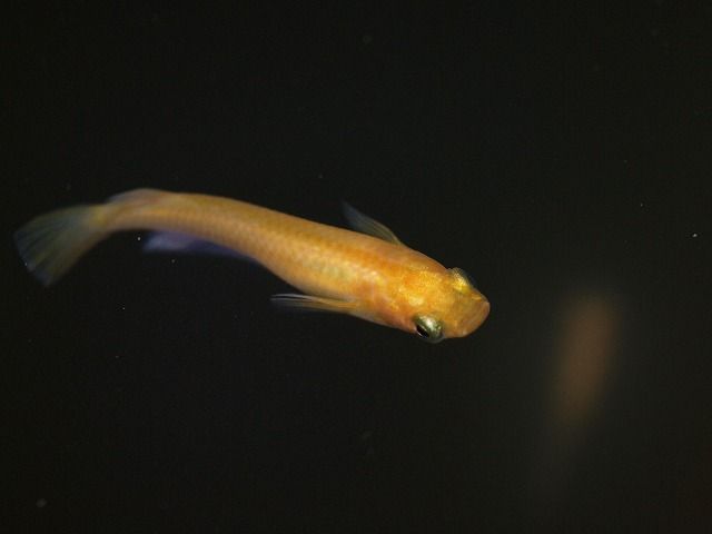 P3190096