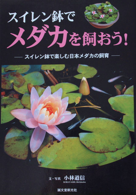 P2057250B