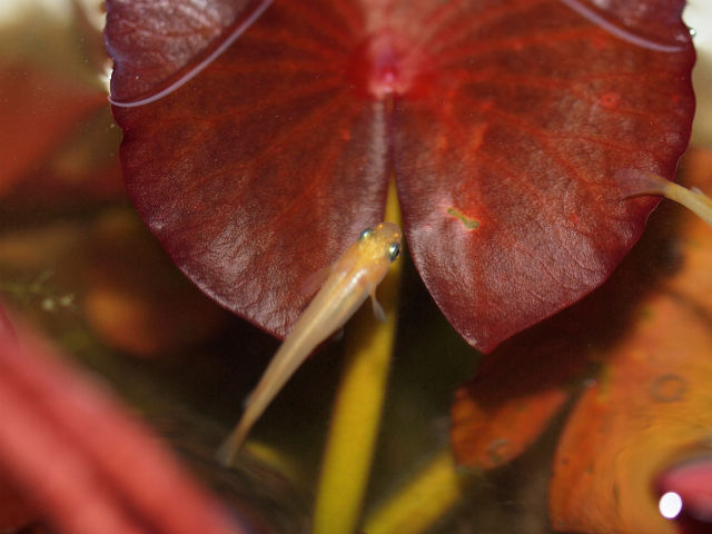 P3302328a