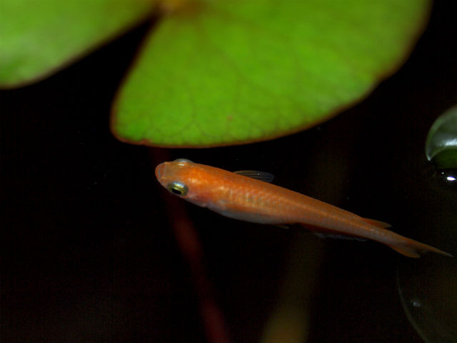 P7165416 (1)