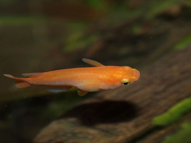 P5011003