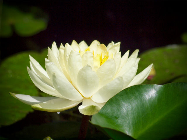 P7305631 (1)