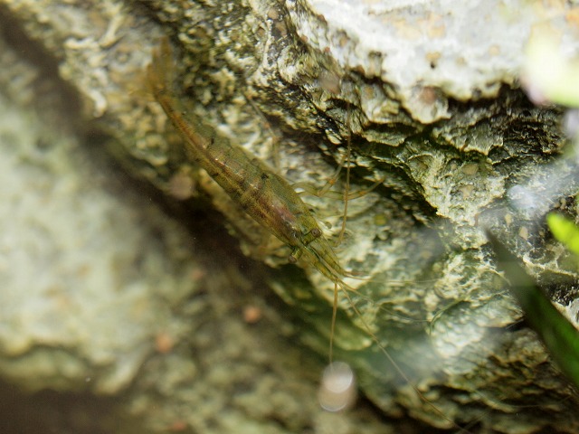 P8077141