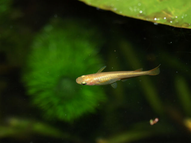P5144956 (1)